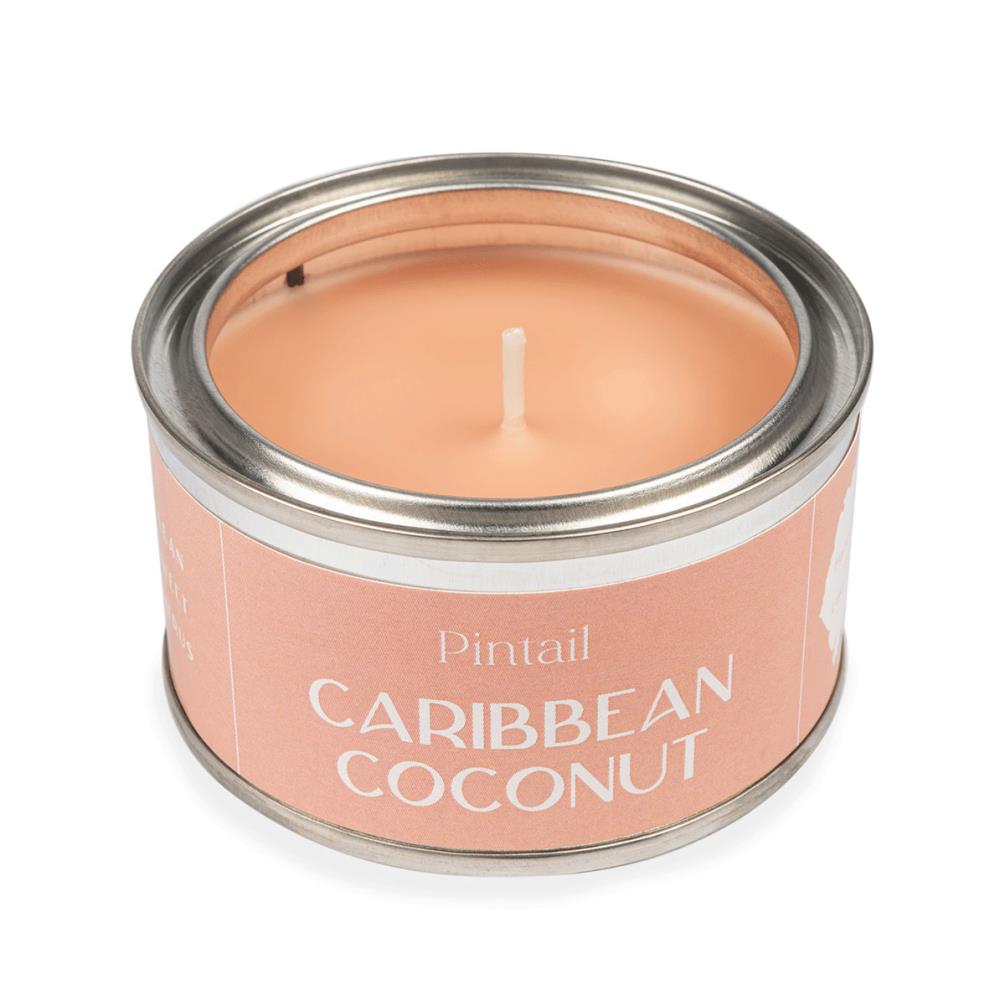 Pintail Candles Caribbean Coconut Paint Pot Candle Extra Image 2